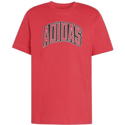Herren Shirt STADIUM COLLEGIATE GRAPHIC in rot