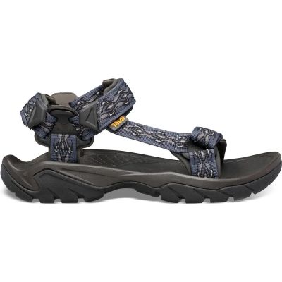 Herren Wandersandalen "Terra Fi5 universal" in blau