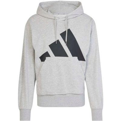 Herren Kapuzensweat Essentials Big Logo French Terry in silber