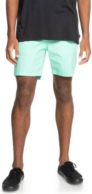 QUIKSILVER Herren Shorts TAXERWS M WKST in braun