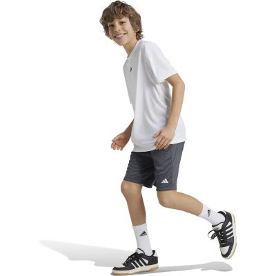 Kinder Shorts Train Essentials Logo Regular Fit Kids in grau