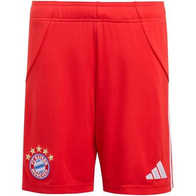 Kinder Teamhose FC Bayern München 25/26 Heim in rot