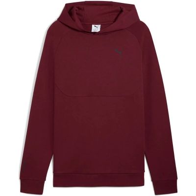 Herren Kapuzensweat TECH Hoodie DK in rot