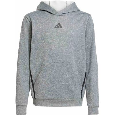 Kinder Kapuzensweat Game & Go Kids in grau