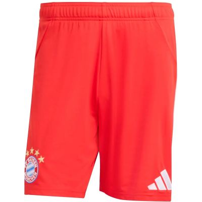 Herren Teamhose FC Bayern München 25/26 Heim in rot