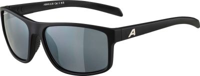 ALPINA Herren Brille NACAN I in grau