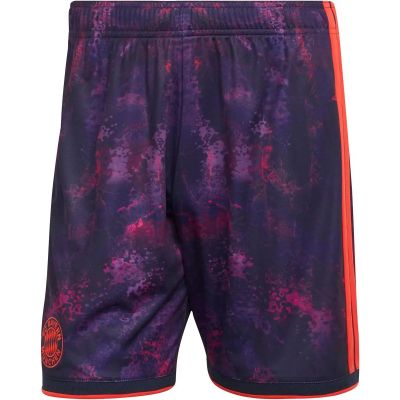 Herren Teamhose FC Bayern 26/27 Third in bunt
