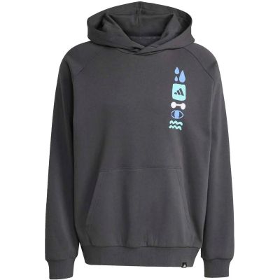 Herren Kapuzensweat Power mit Grafikprint in grau