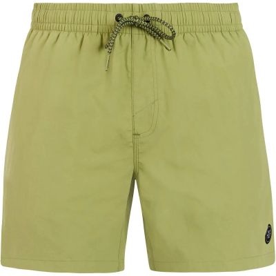 Herren Badeshorts FASTER beachshort in grün