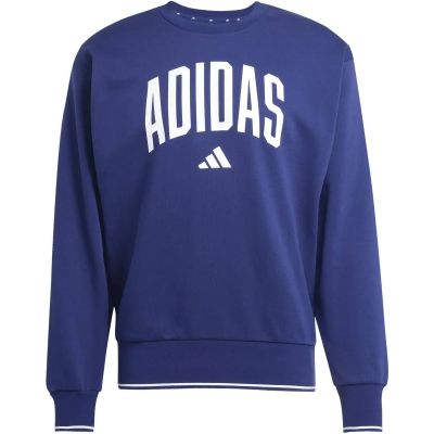 Herren Sweatshirt College Style in blau