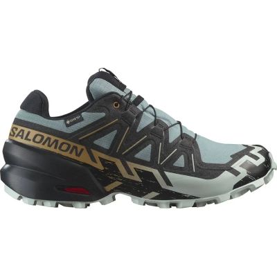 Herren Trailrunningschuhe SHOES SPEEDCROSS 6 GTX Troope/Black/Wood in grau
