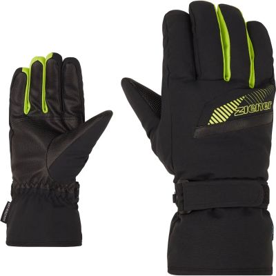 Herren Handschuhe GORDANUS AS(R) glove ski alpine in schwarz