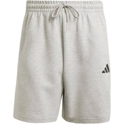 Herren Shorts Future Icons Small Logo in grau